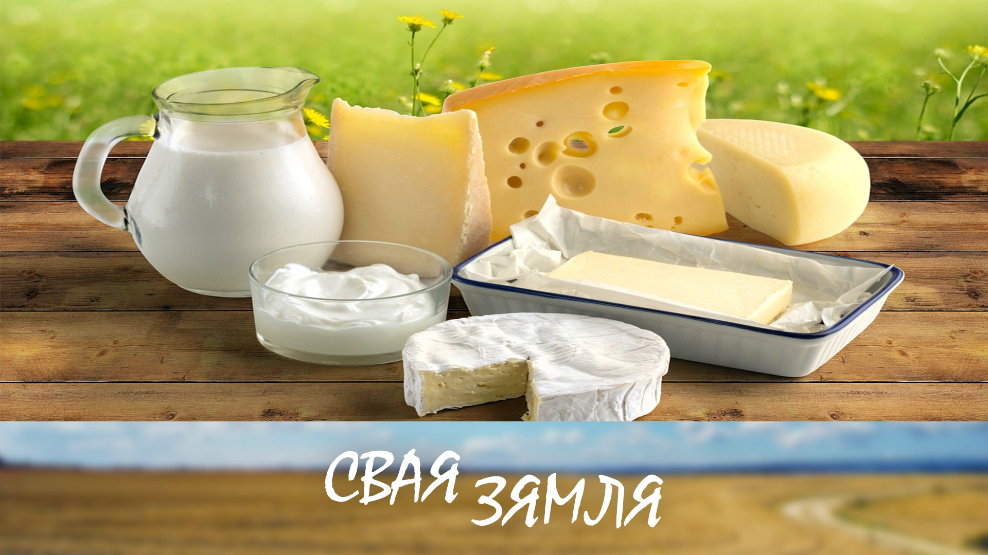 Анонс: Якасць – гэта гонка без фінішу! – «Свая зямля», 6.04.2024