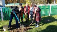 В Беларуси появилось четыре новых молодых сада