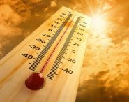 Вучымся пераносіць спёку і разважаем наконт піва – «Здароўе», 14.07.2018 (аўдыё)