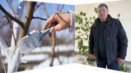 Ці будзем сёлета з яблыкамі? – «Свая зямля», 14.03.2020 (відэаанонс)