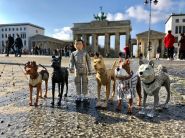 #Berlinale2018: Предчувствие острова