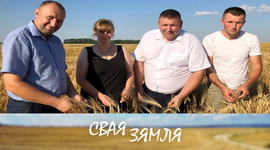 Анонс: Якія сарты паказалі ўраджайнасць? – «Свая зямля», 27.07.2024