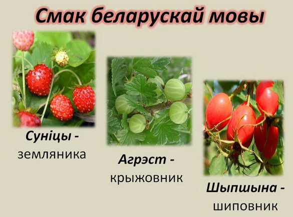 «Паралелі. Роднае слова» Радыёблог Дзмітрыя Рубашнага (аўдыё)