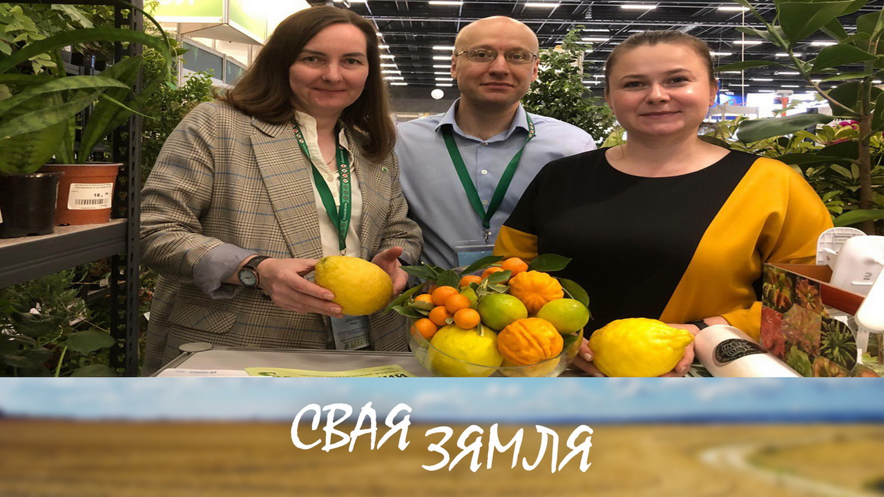 Анонс: У чым эфектыўнасць беларускай навукі? – «Свая зямля», 24.01.2026