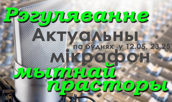 Регулирование таможенного пространства – «Актуальный микрофон», 24.11.2016 (видео)