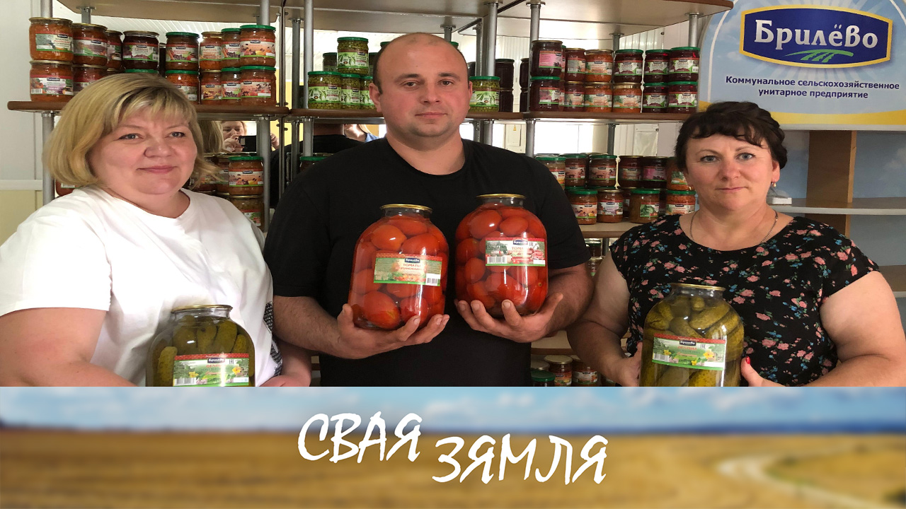 Анонс: Брылёўская гародніна запатрабавана круглы год – «Свая зямля», 11.10.2025