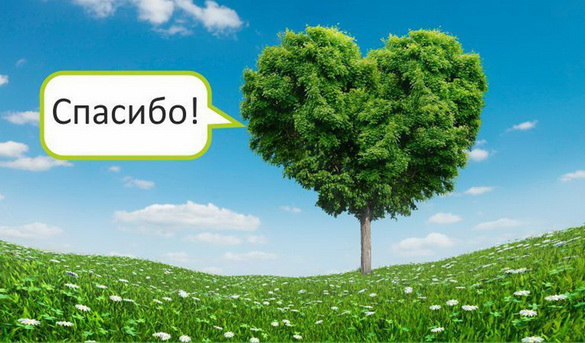 «Погляд. Пражыць дзень без… паперы: навошта і як гэта зрабіць?» Радыёблог Алены Вахрамеевай (аўдыё)