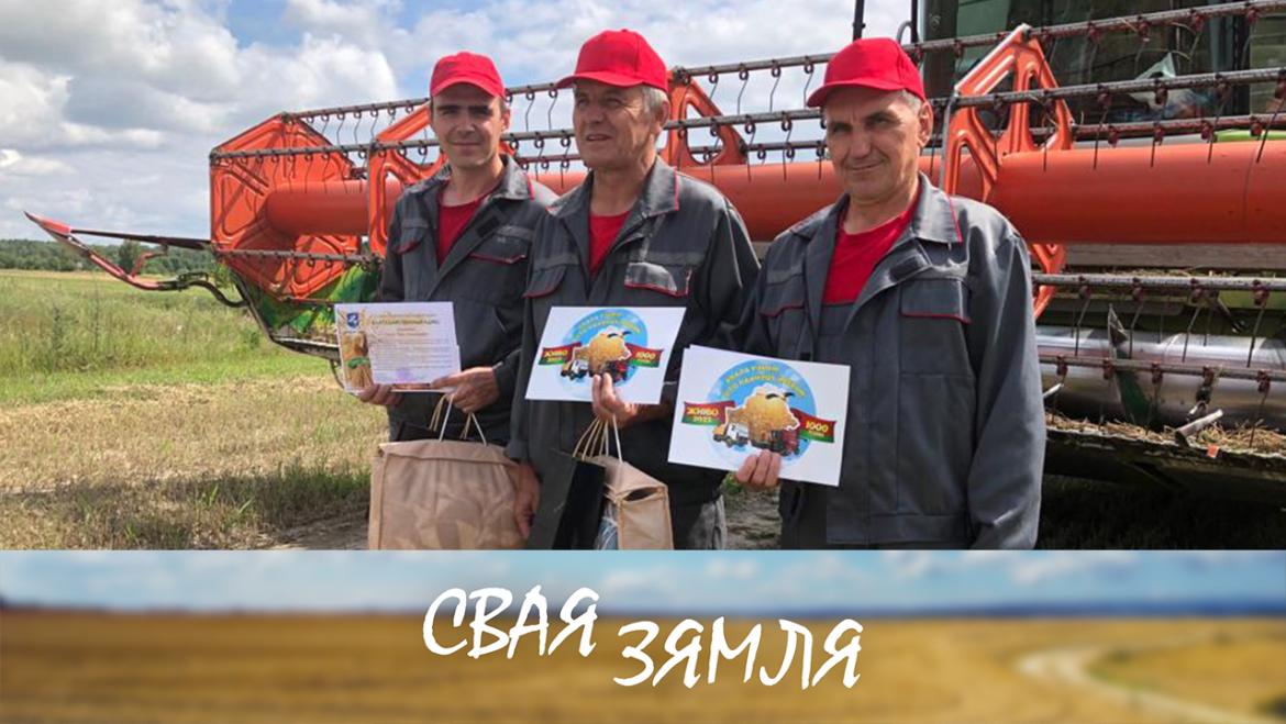 Жніўныя дасягненні сапраўдных гаспадароў беларускай зямлі – «Свая зямля»