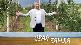 Анонс: Імпартазамяшчэнне беларускіх садаводаў – «Свая зямля», 28.09.2024