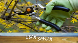 Анонс: РЭБУСЫ АЙЧЫННАГА САДАВОДСТВА – «Свая зямля», 25.03.2023