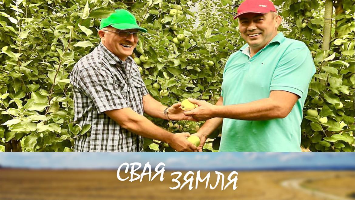 ЧАГО НЕ ХАПАЕ БЕЛАРУСКІМ ФЕРМЕРАМ? – «СВАЯ ЗЯМЛЯ», 28.08.2021 (відэаанонс)