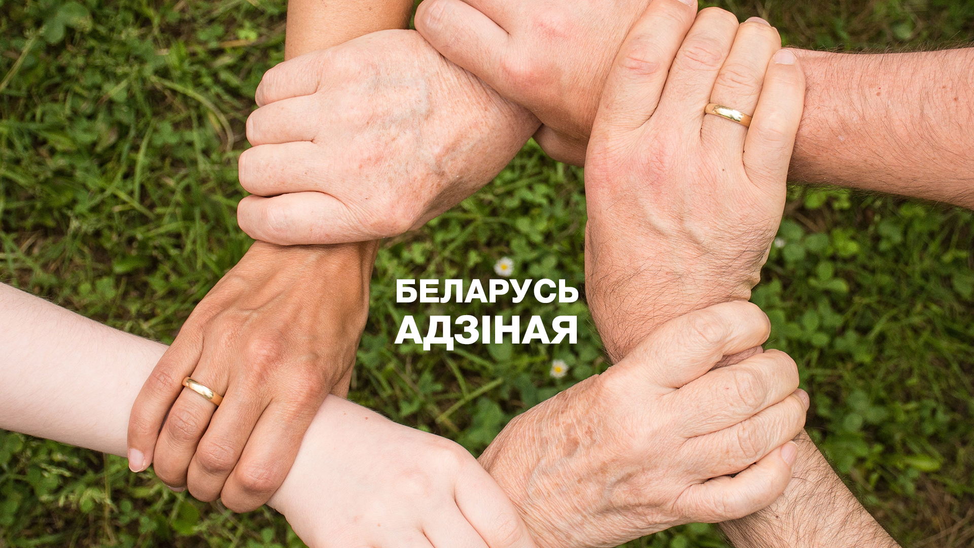 Беларусь единая