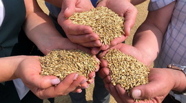 Анонс: Працаўнікі вёскі гарантуюць харчовую бяспеку – Спецпраект «Мы – Беларусь», 13.11.2025