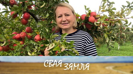 Анонс: Пасціла і сок з фермерскіх яблыкаў – «Свая зямля», 11.11.2023