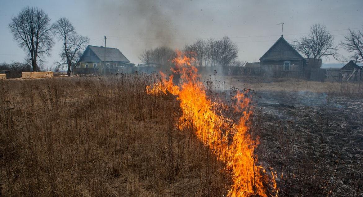 «Погляд. Вясеннія падпалы: гарыць не проста трава – гарыць дом, у якім мы жывём!» Радыёблог Алены Вахрамеевай (аўдыё)