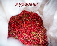 Размова пра мову – «Актуальны мікрафон» (відэа+аўдыё)