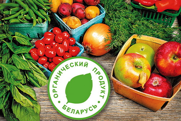 Желаете попробовать органические продукты? Поможем сориентироваться! – «Актуальный микрофон» (видео+аудио)