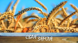 Анонс: ДОКШЫЦКІЯ ХЛЕБАРОБЫ ГАСПАДАРАЦЬ ПА-НОВАМУ – «СВАЯ ЗЯМЛЯ», 20.08.2022