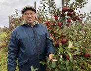 Удосталь збожжа і хлеба, гародніны і садавіны, мяса і малака – «Свая зямля», 17.11.2018