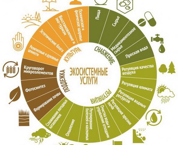 «Экасістэмныя паслугі: выкарыстоўваць разумна ці браць без абмежаванняў? – «Актуальны мікрафон» (аўдыё)