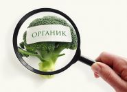 Желаете попробовать органические продукты? Поможем сориентироваться! – «Актуальный микрофон» (видео+аудио)