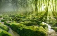 Захаваць нельга знішчыць? – «Актуальны мікрафон» (аўдыё)