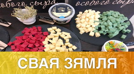 НОВЫЯ РЫНКІ БЕЛАРУСКАЙ МАЛОЧКІ – “СВАЯ ЗЯМЛЯ”, 17.10.2020 (відэаанонс+аўдыё)