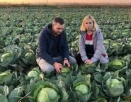 Ці выгадна прадаваць усю бульбу, капусту і моркву зараз? – «Свая зямля», 10.11.2018