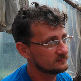 "Белорусский альбом": Следы готов на территории Беларуси
