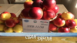 АПТЫМІСТЫЧНЫ ПРАГНОЗ БЕЛАРУСКІХ ВУЧОНЫХ – «СВАЯ ЗЯМЛЯ», 12.03.2022 (відэаанонс)