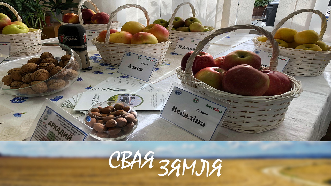 Анонс: Як спраўляюцца з праблемамі ў навуковым садзе? – «Свая зямля», 29.03.2025