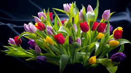 ЭФИРНАЯ АКЦИЯ ко ДНЮ ЖЕНЩИН 8 МАРТА на БЕЛОРУССКОМ РАДИО!