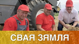 ЗЯЛЁНЫЯ ТАЛОНЫ НА ЖНІВЕ – «СВАЯ ЗЯМЛЯ», 1.08.2020 (відэаанонс+аўдыё)