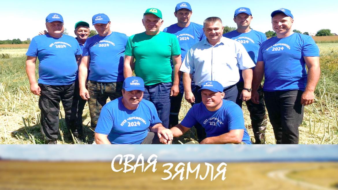 Удалы сезон для хлебаробаў – «Свая зямля»