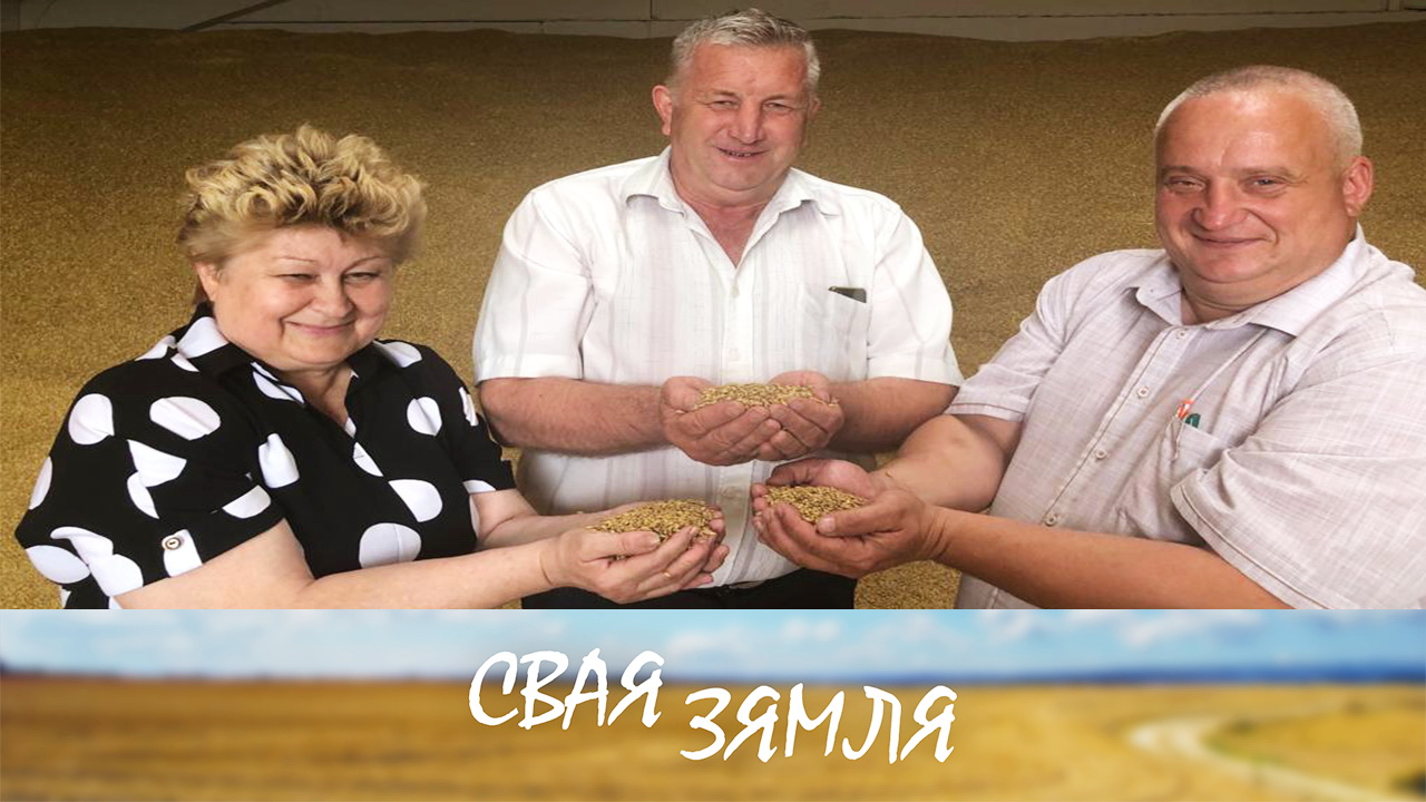 Ці выгадна вырошчваць азімы ячмень? – «Свая зямля»