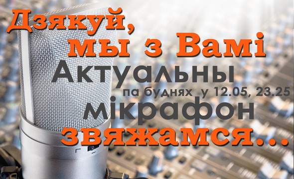 Спасибо, мы с Вами свяжемся... – «Актуальный микрофон», 15.11.2016 (видео)