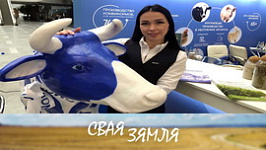 Анонс: Стваральныя імпульсы малочнай галіны – «Свая зямля», 21.03.2026