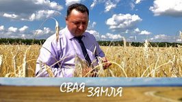 Анонс: «Бусліка» і «Амелію» выбіраюць стаўбцоўскія хлебаробы – «Свая зямля», 1.08.2026