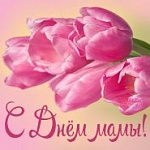 День Матери празднуем с многодетной семьей! – «Своя земля», 14.10.2017 (аудио)