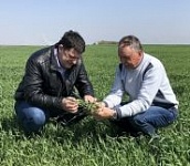 Адчуць сябе сапраўдным гаспадаром на зямлі – «Свая зямля», 25.05.2019 (відэаанонс)